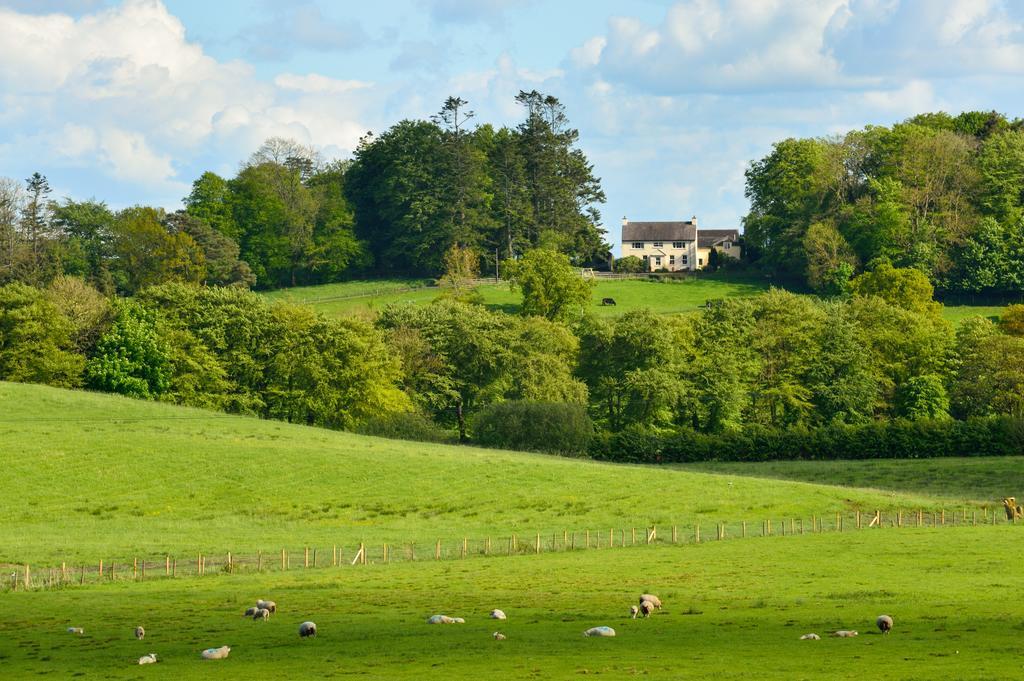 Bed and Breakfast Dromard House Enniskillen Exteriér fotografie