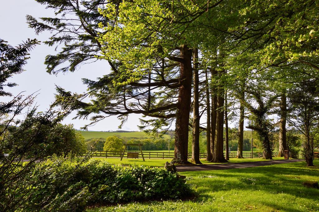 Bed and Breakfast Dromard House Enniskillen Exteriér fotografie